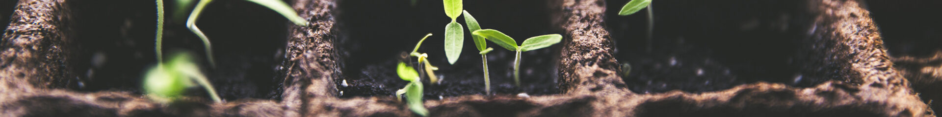 World Manufacturer ID - CVMA